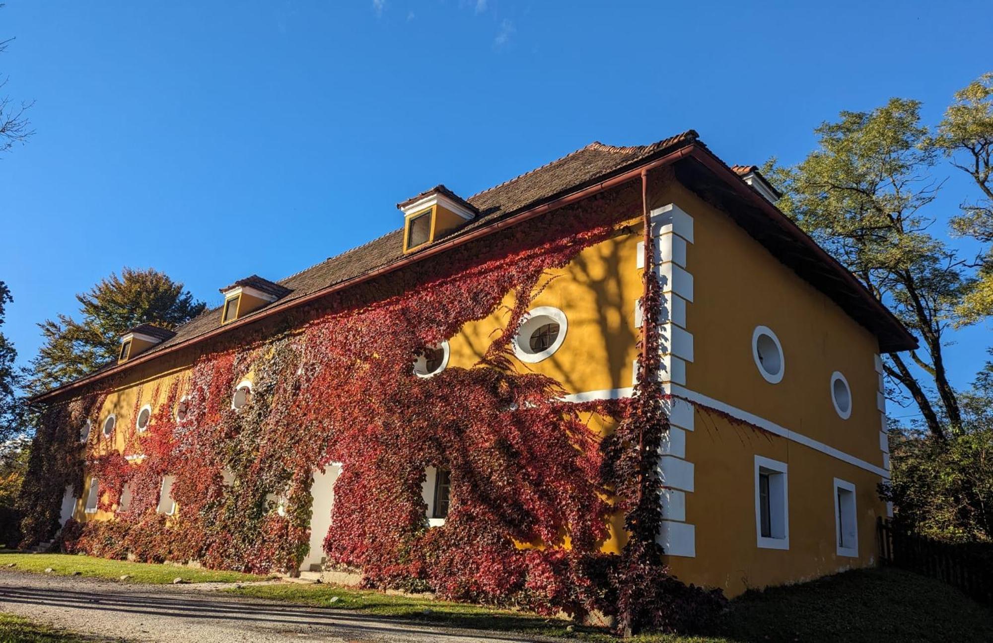 Pischeldorf Ferienwohnung Ottmanach Josefhof מראה חיצוני תמונה