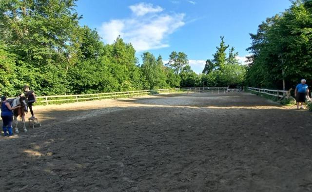 Pischeldorf Ferienwohnung Ottmanach Josefhof מראה חיצוני תמונה