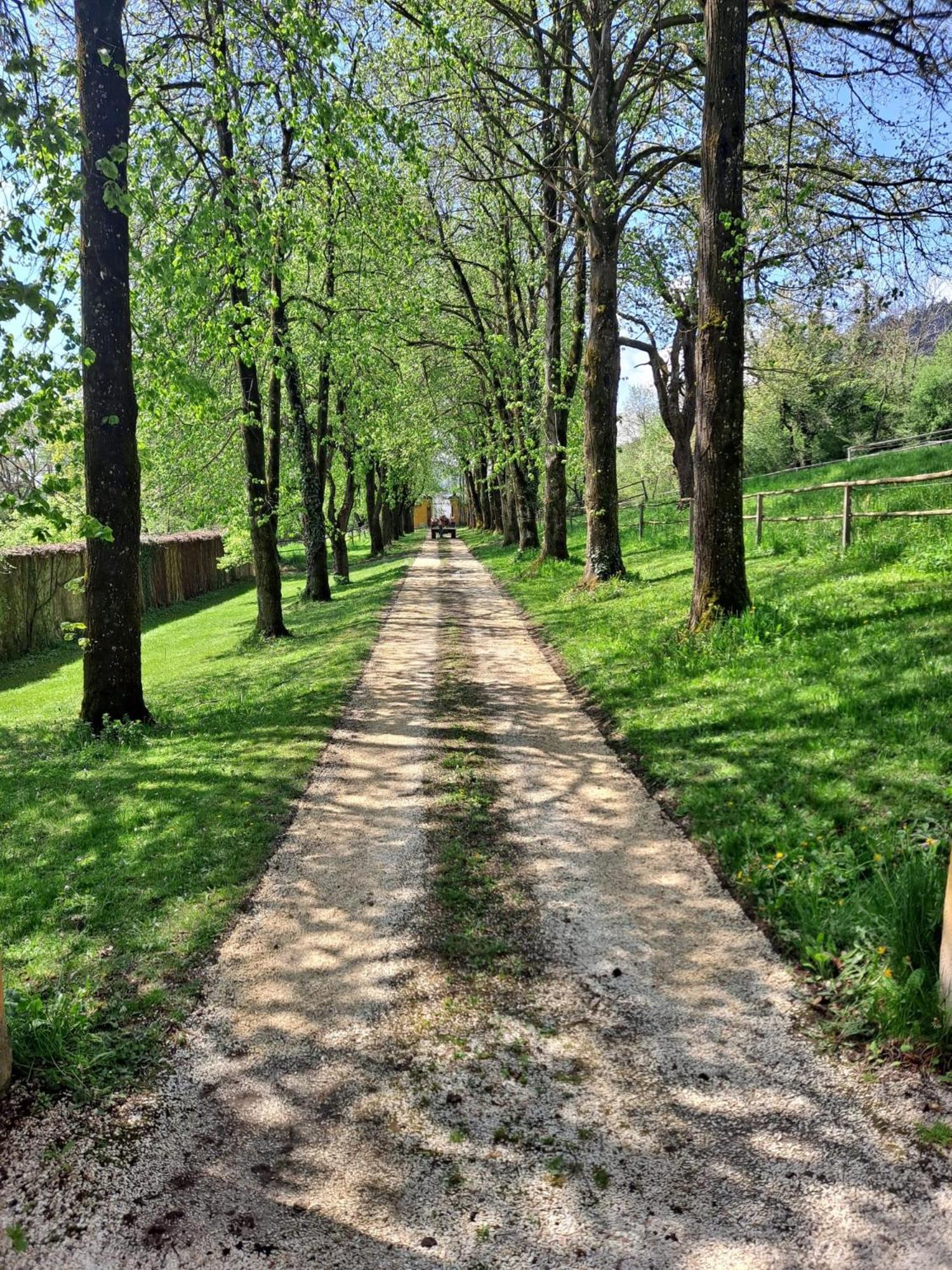 Pischeldorf Ferienwohnung Ottmanach Josefhof מראה חיצוני תמונה